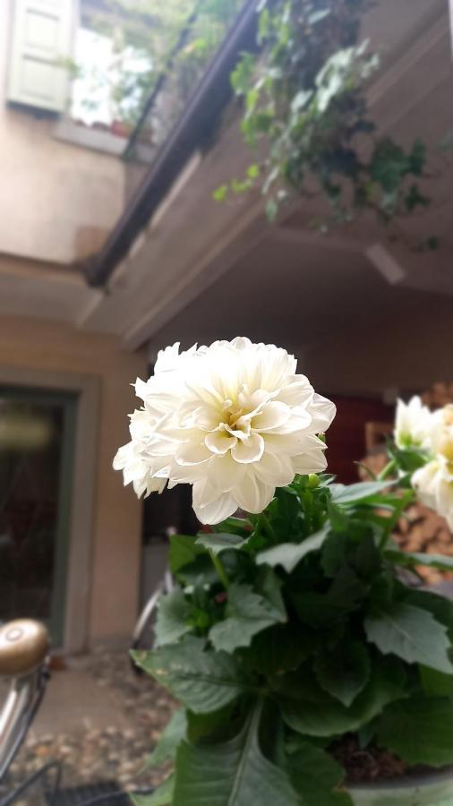 Apartament Eugenia Levia Cividale del Friuli Zewnętrze zdjęcie